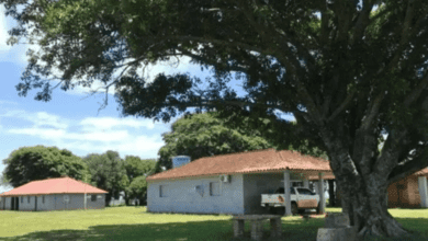 Photo of Leilão das Fazendas do ex-presidente Jango atinge valor impressionante de R$ 254 milhões